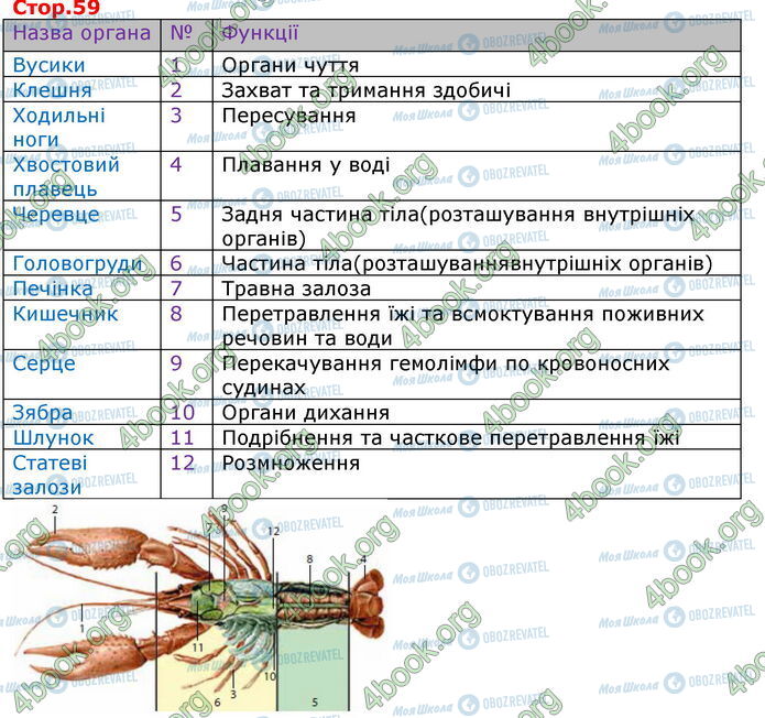 ГДЗ Біологія 7 клас сторінка Стр.59